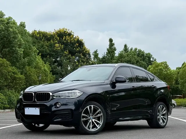 BMW X6 2018 xDrive35i Premium Model