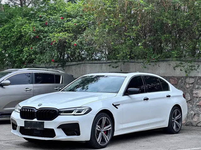 BMW 5 Series 2021 530Li Premium Luxury Package