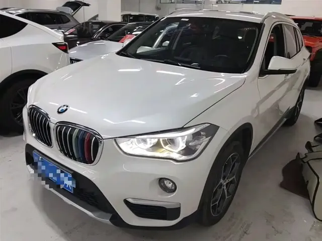 BMW X1 2019 xDrive20Li Premium Model