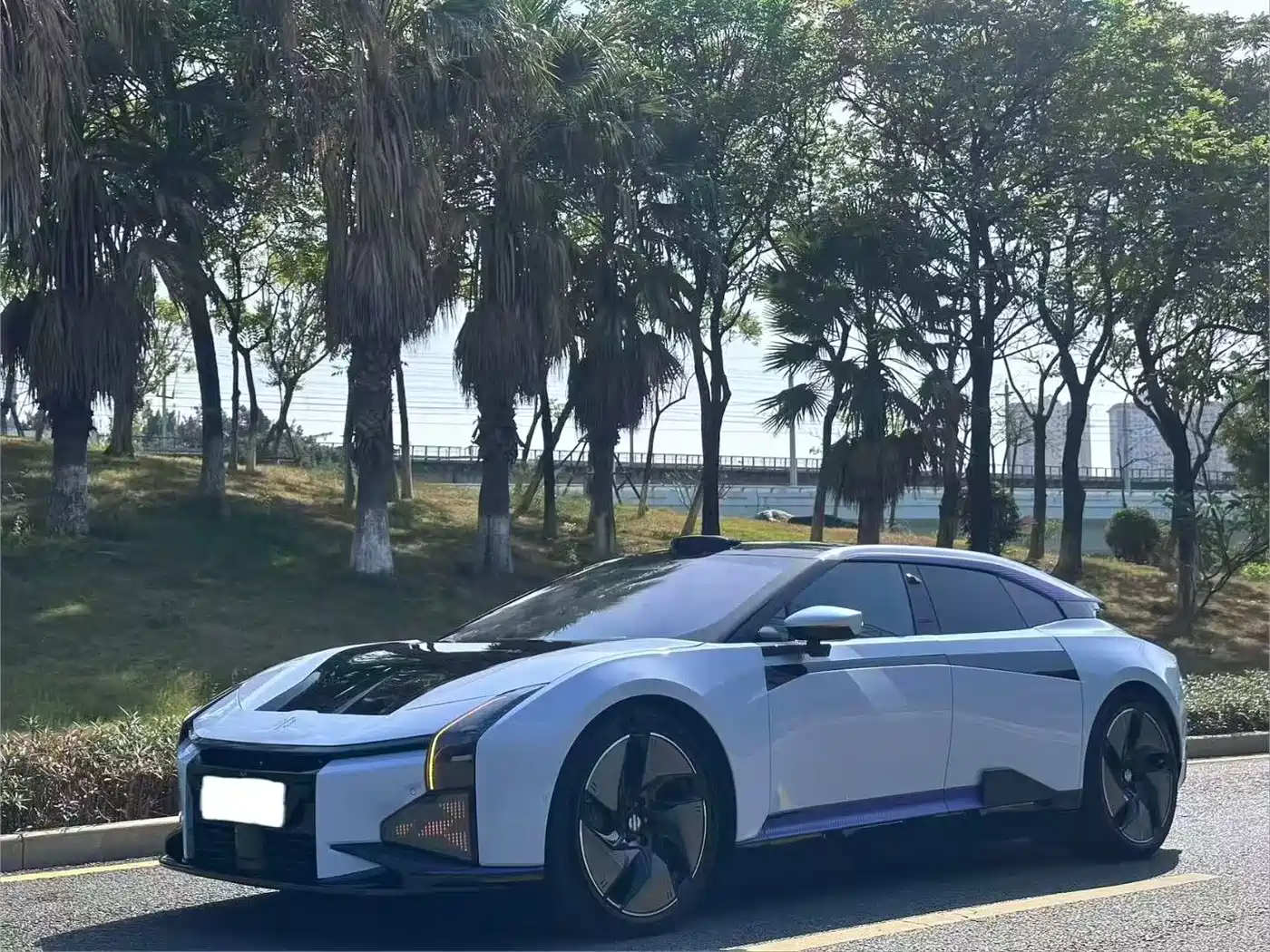 HiPhi Z 2023 4-Seater Edition