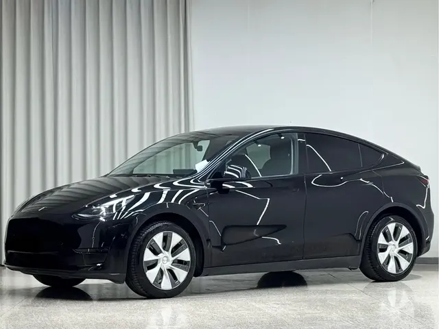 Tesla Model Y 2022 Rear-Wheel Drive Version
