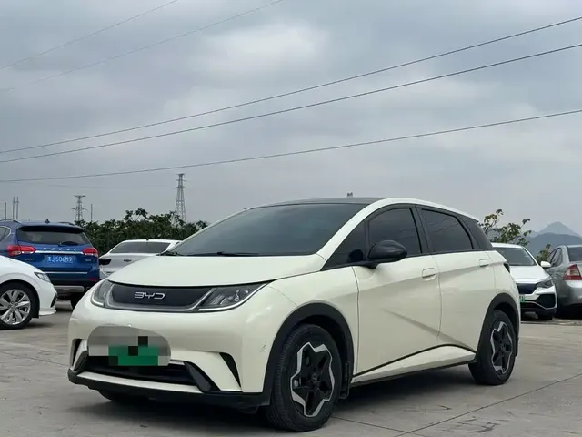 BYD Dolphin 2021 Model 405km Fashion Edition