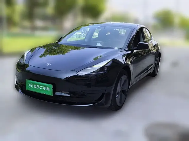 Tesla Model 3 2021 Facelift Standard Range RWD Upgrade 3D1