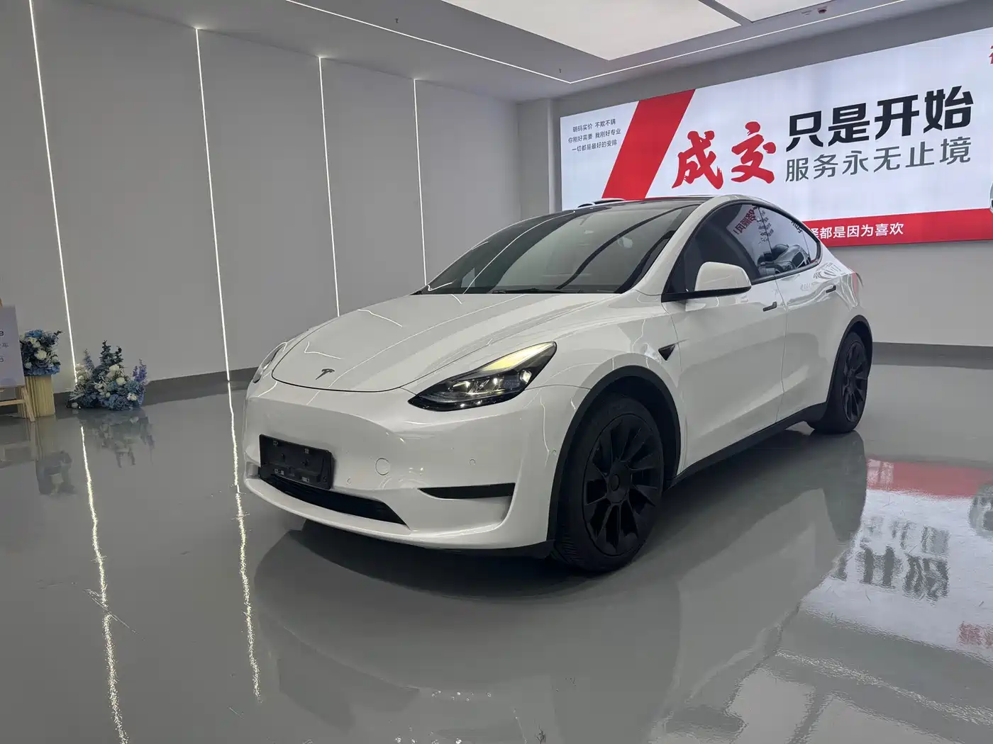 Tesla Model Y 2022 Rear-Wheel Drive Version