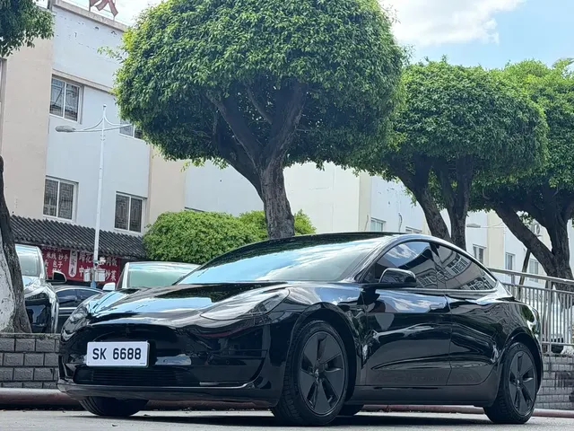 Tesla Model 3 2022 Model Rear-Wheel Drive Version