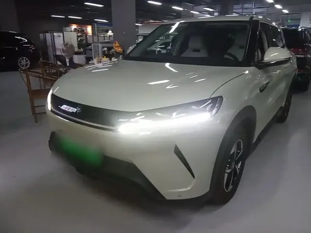 BYD Yuan UP 2024 301KM Leading Edition