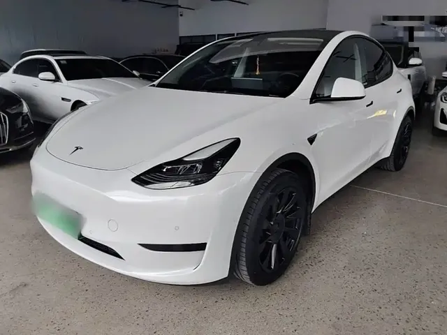 Tesla Model Y 2022 Rear-Wheel Drive Version