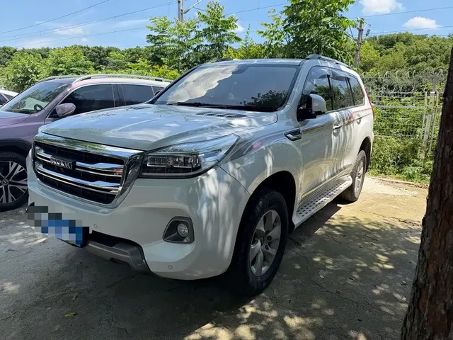 Haval H9 2020 2.0T Gasoline 4WD Elite 5-Seater