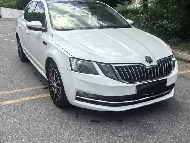 Škoda Octavia 2019 TSI230 DSG Smart Luxury Edition China V