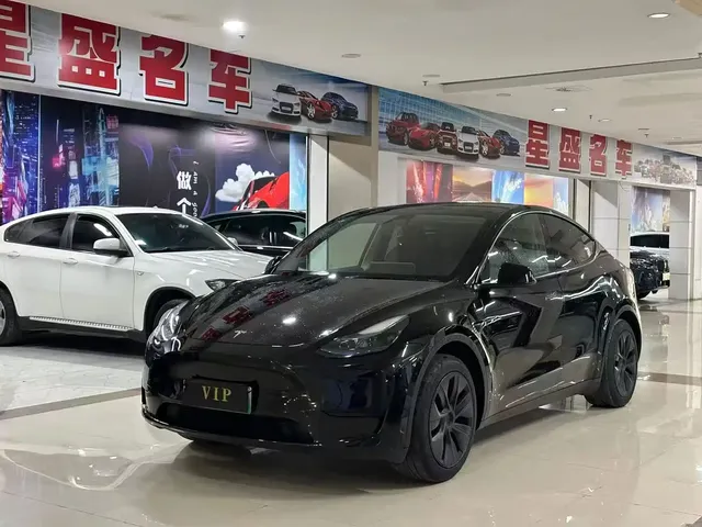 Tesla Model Y 2024 Rear-Wheel Drive Version