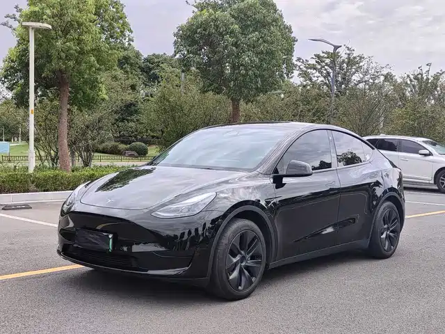Tesla Model Y 2023 Rear-Wheel Drive Edition