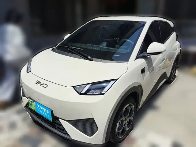BYD Seagull 2025 Smart Drive Edition 305km Freedom Version