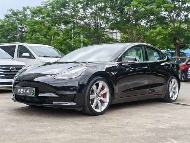 Tesla Model 3 (Import) 2019 Performance High-Efficiency All-Wheel Drive Version