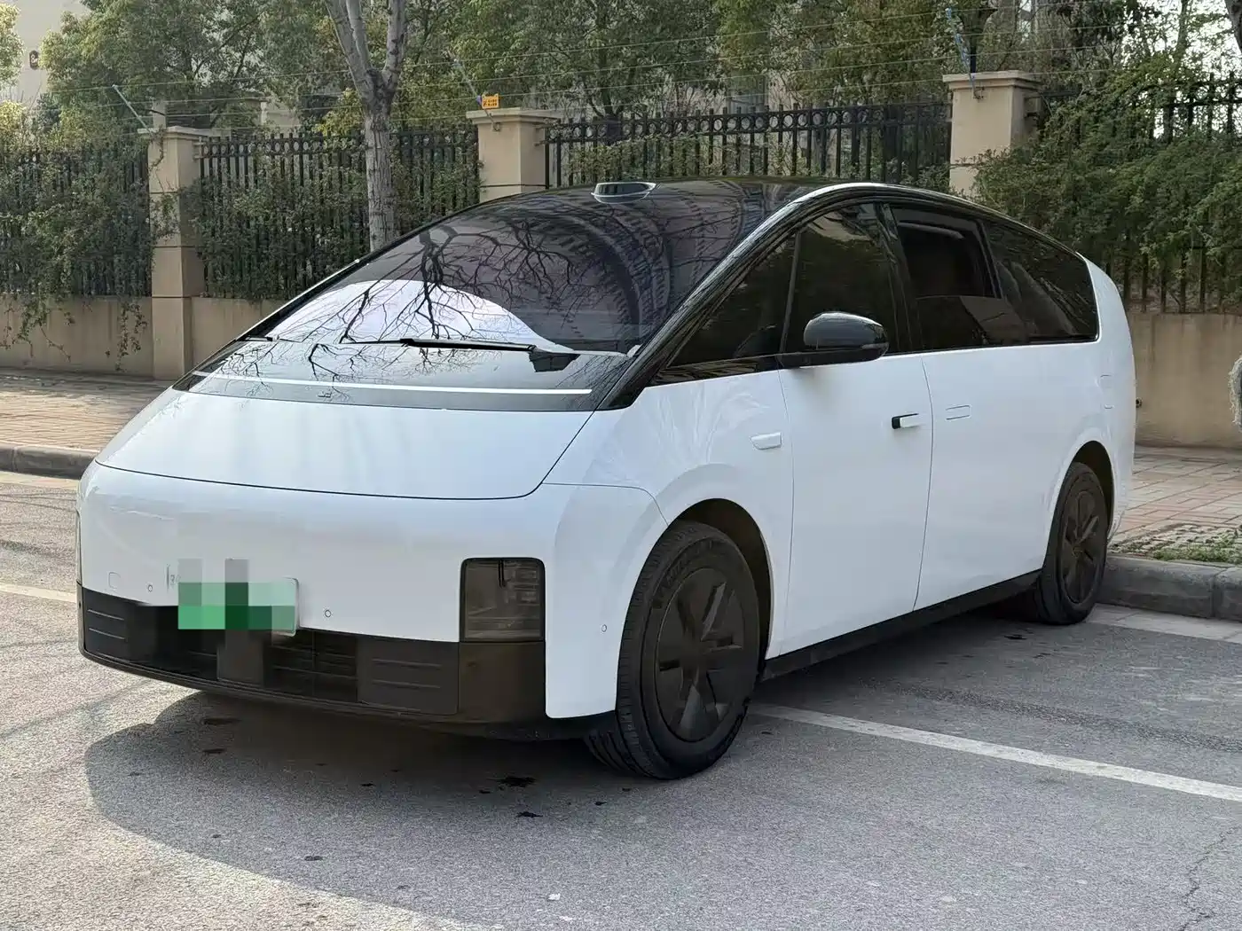 Li Auto MEGA 2025 Model Home Family Special Edition