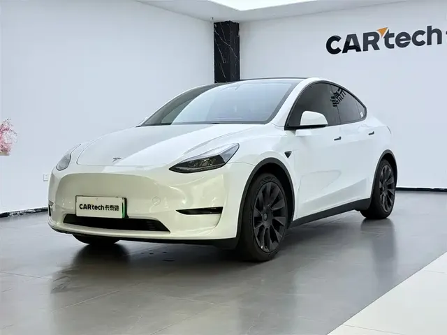 Tesla Model Y 2022 Rear-Wheel Drive Version