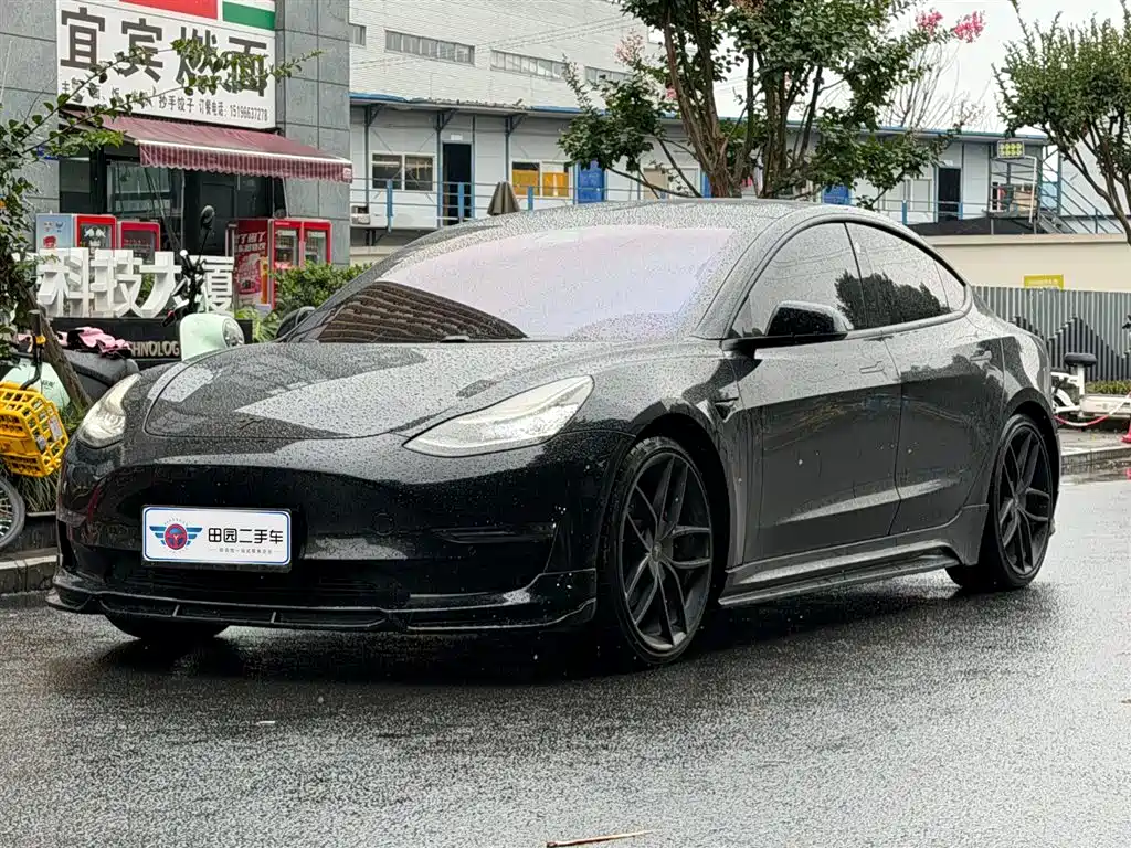 Tesla Model 3 (Import) 2019 Long Range All-Wheel Drive Edition