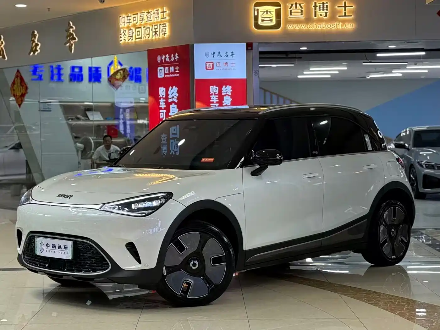smart Elf #1 2024 Premium Edition