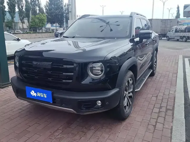 Haval Big Dog 2021 1.5T DCT 2WD Border Collie Edition