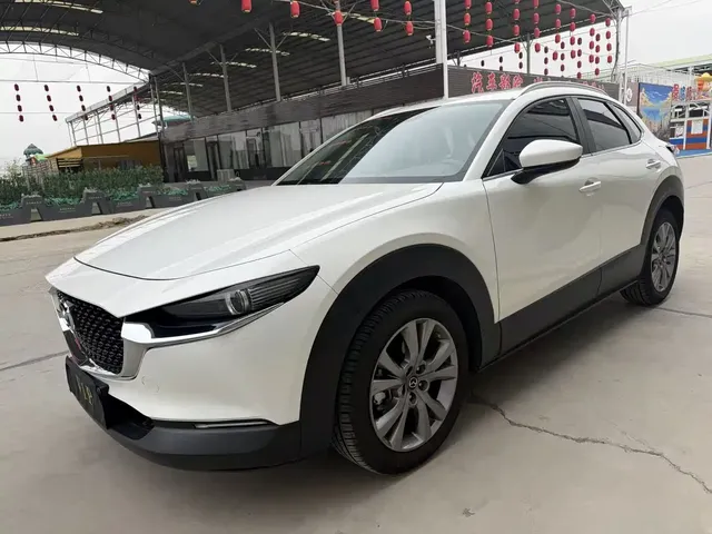Mazda CX-30 2021 2.0L Auto Premium Joy Type