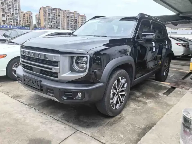 Haval Big Dog 2024 1.5T DCT Border Collie Edition