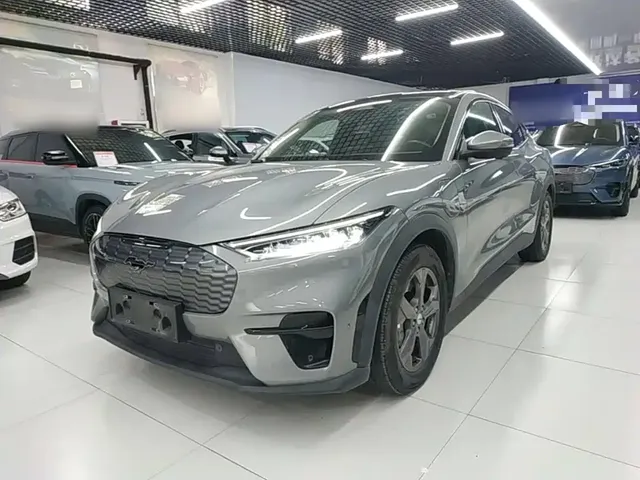Ford Mustang Mach-E 2021 Leap World RWD (Standard Range)