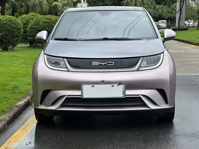 BYD Dolphin 2021 405km Freedom Edition
