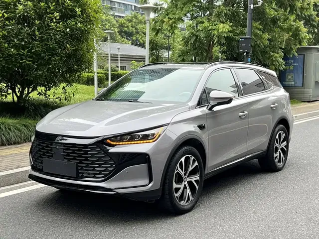 BYD Tang New Energy 2025 Smart Driving Edition DM-i 115KM Flagship