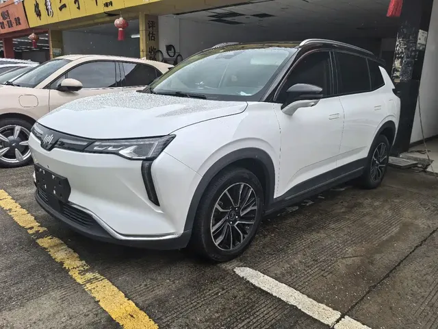 Weltmeister W6 2021 520km PRO All-round Edition