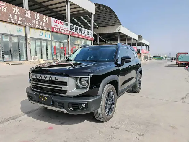 Haval Big Dog 2024 1.5T DCT Border Collie Edition