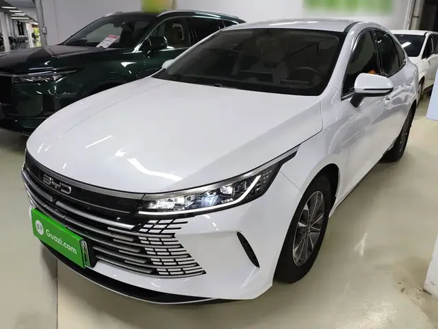 BYD Destroyer 05 2024 Glory Edition DM-i 55KM Luxury