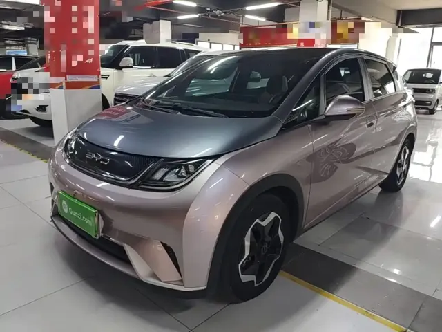 BYD Dolphin 2021 Model 405km Fashion Edition
