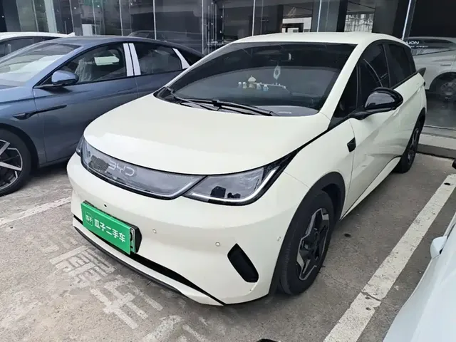 BYD Dolphin 2025 Smart Drive Edition 420km Freedom Version