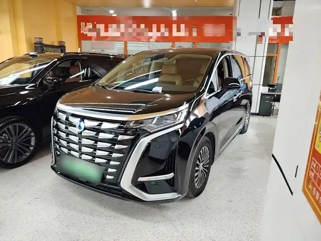 Denza D9 2024 DM-i 980 AWD Flagship