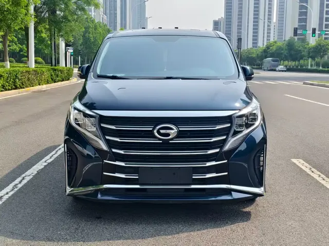 GAC Trumpchi M8 2023 Leading Series 390T Premium Edition