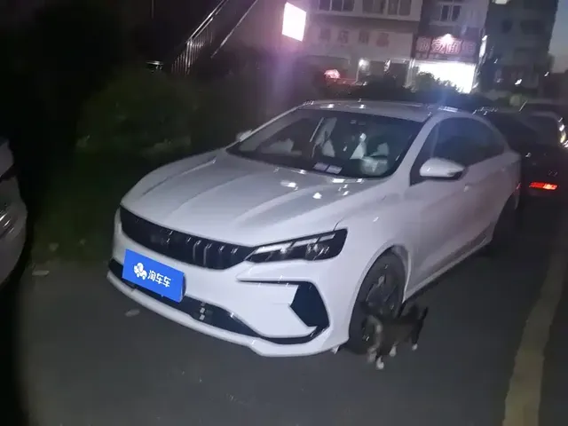 Geely Binrui 2024 Binrui COOL 1.5T DCT Champion Edition