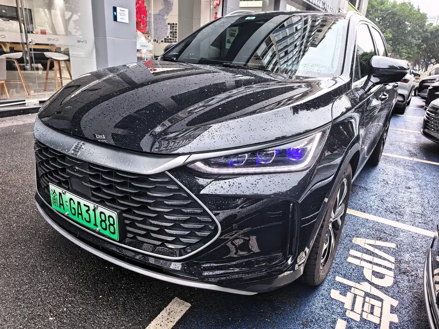 BYD Tang New Energy 2025 DM-i 115KM Premium