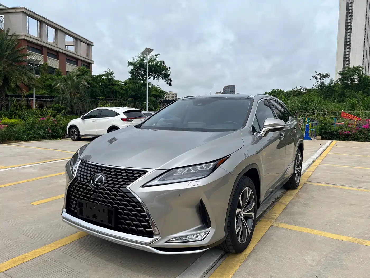 Lexus RX 2020 Facelift 300 AWD Elegance Edition