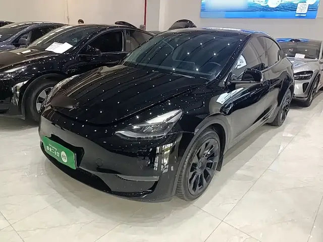 Tesla Model Y 2021 Standard Range Rear-Wheel Drive