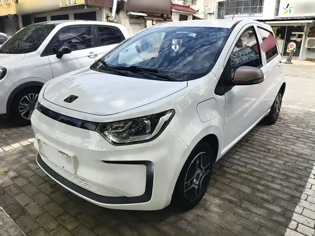 Sehol Flower Fairy 2021 200km Classic Edition