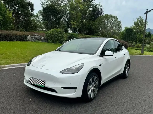 Tesla Model Y 2021 Standard Range Rear-Wheel Drive