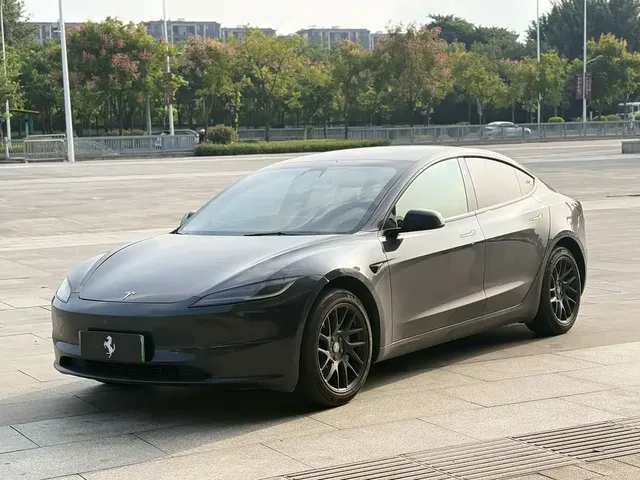 Tesla Model 3 2025 Model Rear-Wheel Drive Edition