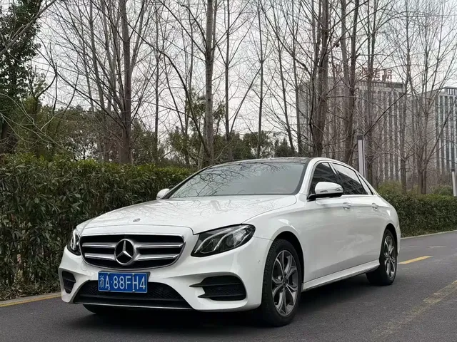 Mercedes-Benz E-Class 2020 E 300 L Sport Fashion Model