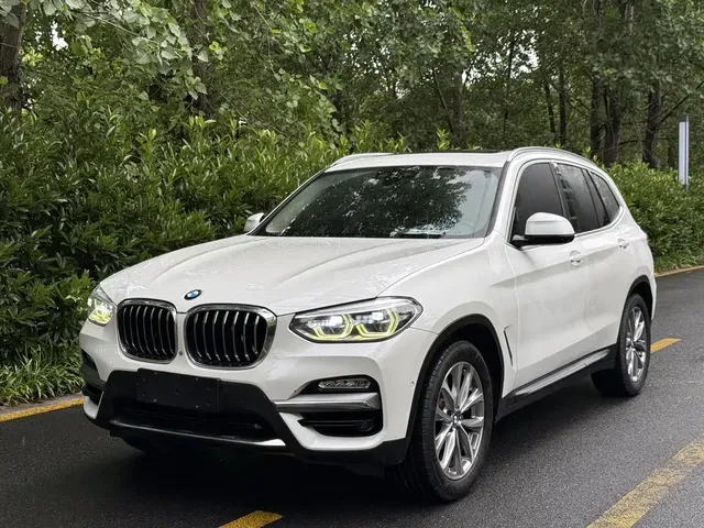 BMW X3 2018 xDrive25i Luxury Package China V