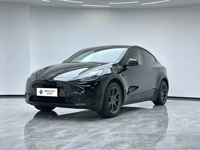 Tesla Model Y 2023 Rear-Wheel Drive Edition