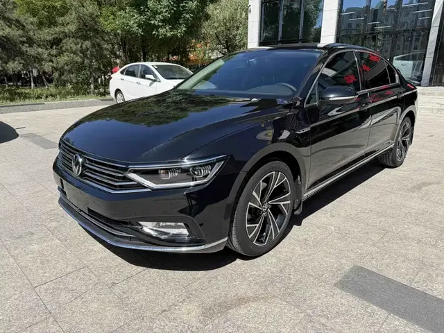 Volkswagen Magotan 2020 330TSI DSG Luxury