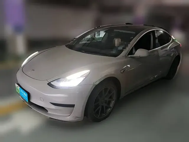 Tesla Model 3 2020 Standard Range Rear-Wheel Drive Upgrade