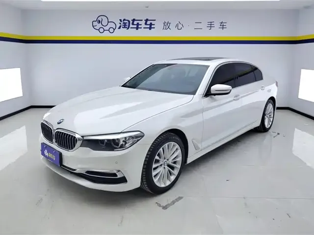 BMW 5 Series 2019 530Li Leading Luxury Package