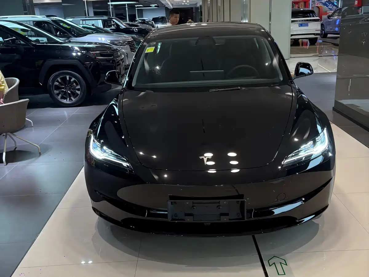 Tesla Model 3 2025 Model Rear-Wheel Drive Edition