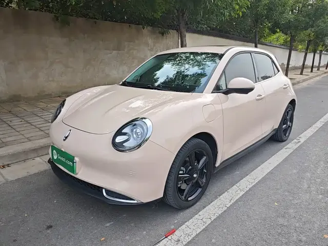 Ora Good Cat 2024 401km Luxury