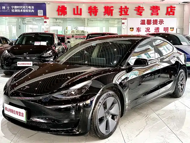 Tesla Model 3 2022 Model Rear-Wheel Drive Version